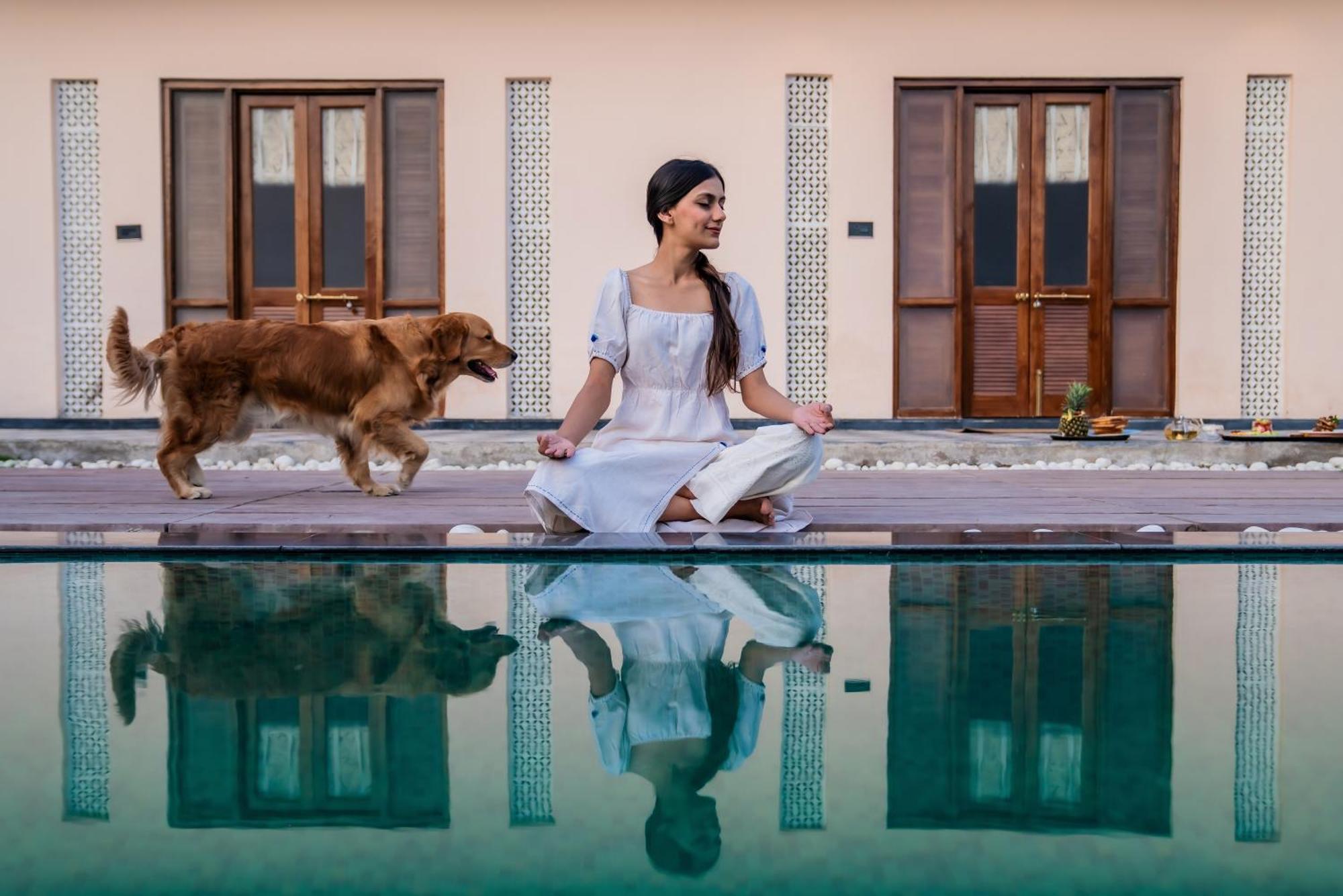 Parijat Private Pool Villa 1, 2 And 3 Bhk Udaipur Buitenkant foto