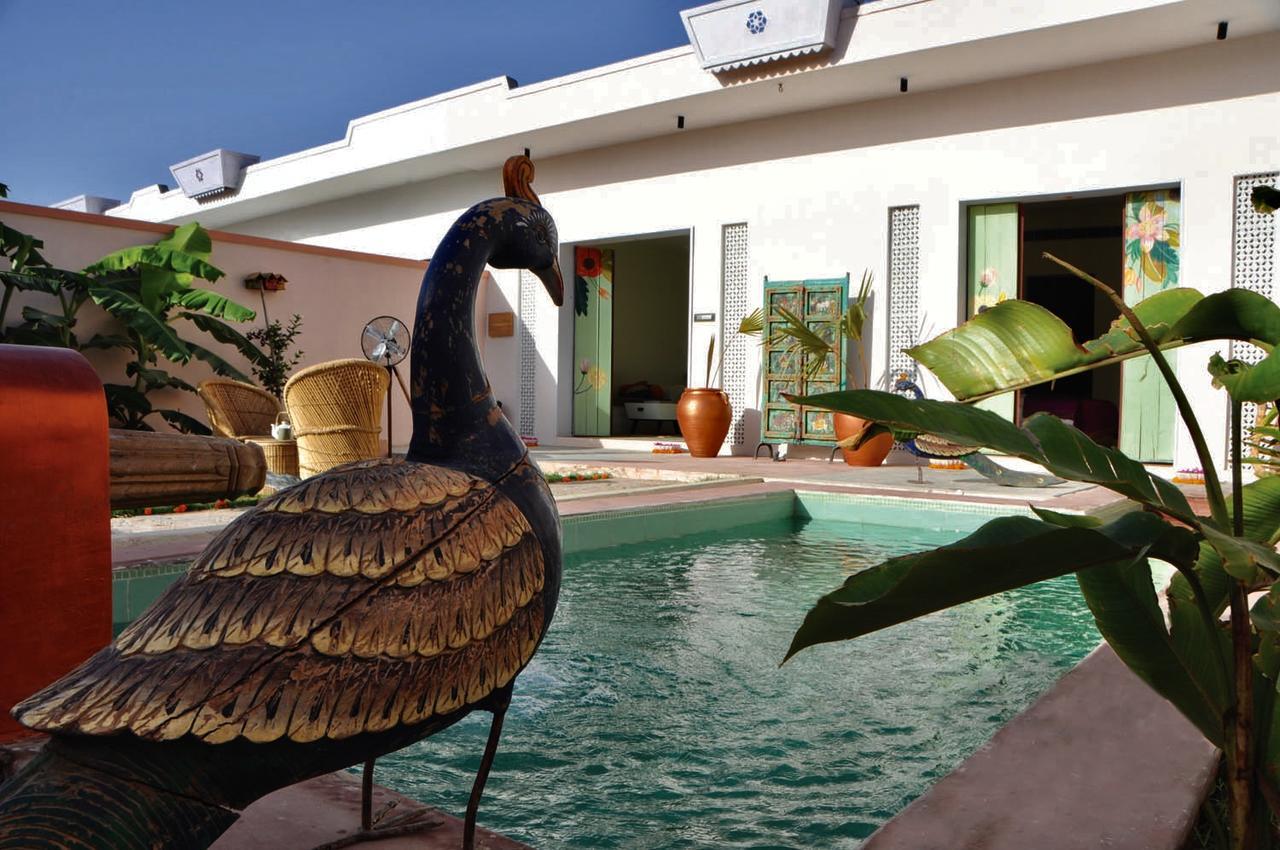 Parijat Private Pool Villa 1, 2 And 3 Bhk Udaipur Buitenkant foto